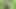 Had sex with full me by going to dense forest on high hill