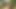 Porno Video amador de Sexo Portugal na Floresta
