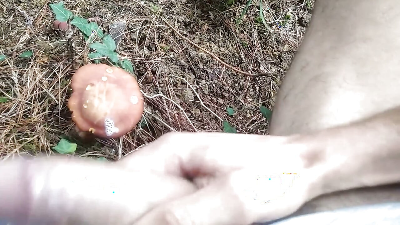 Hiker Takes Out His Dick Looking for Mushroomsand Unloads Semen in One of Them