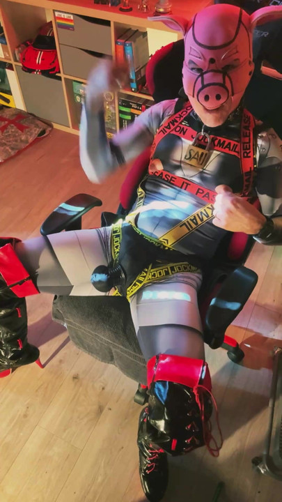 Ball Busting PIG