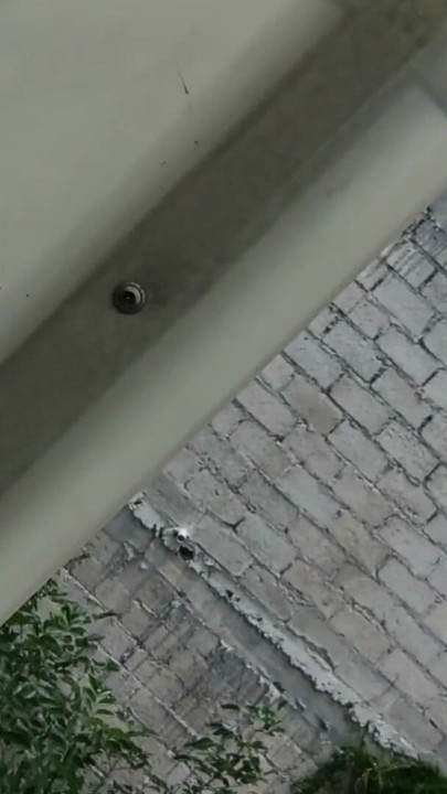 Looking wet | Clip 1