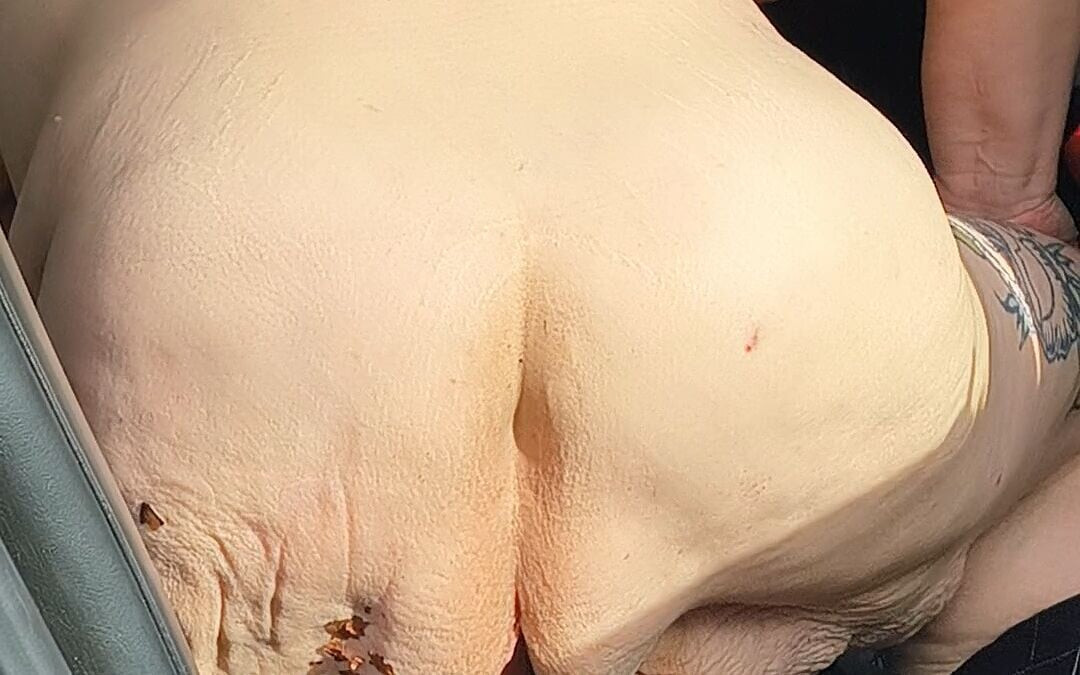 Στην κορυφή, μην σταματήσετε να πηδάτε πάνω και κάτω σε αυτόν τον υπερμεγέθη κόκορα