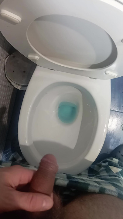 Pee in the bathroom
