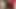 Indian Desi girl fuck with bf in red lingerie sexy lingerie standing fuck with bf anal fuck with viral mms Indian viral mms sex