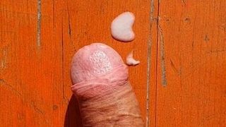 Eu tive que masturbar com esperma no jardim