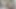 Shaved Balls Big Cock Masturbation Hard Erection cum no Hand