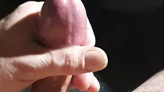 Tribute fuer Heidi