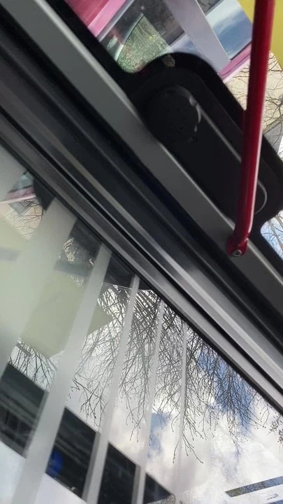 Bus