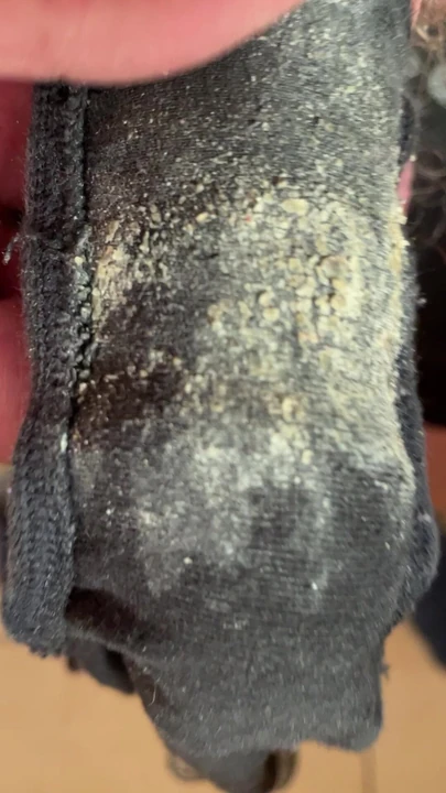 Panties gusset