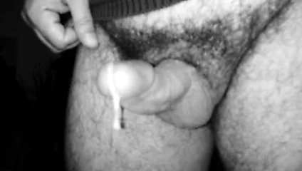 Theocock 3