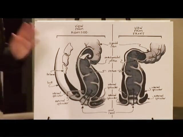 Blonde Babe Fingers Pussy and Rides Cock Wildly