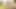 Geile schätzchen dildo bohren feuchte muschis im freien