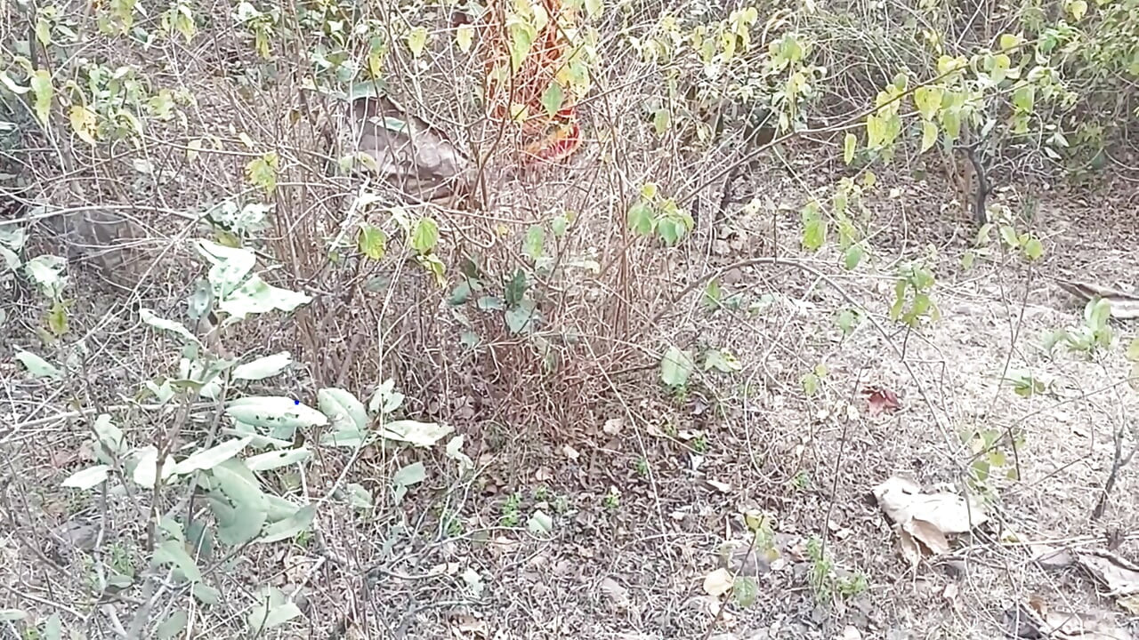 Desi anal India mengajari suami Riya cara berhubungan seks dan membuatnya tegak dengan pembicaraan cabul