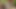 ScoutBoys Hot hung Scoutmaster Ace Banner raw fucks cute twink hard