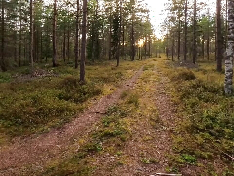 Boy wanders naked through Sweden