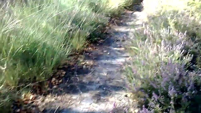 wanking on a summers day jerking cum outside