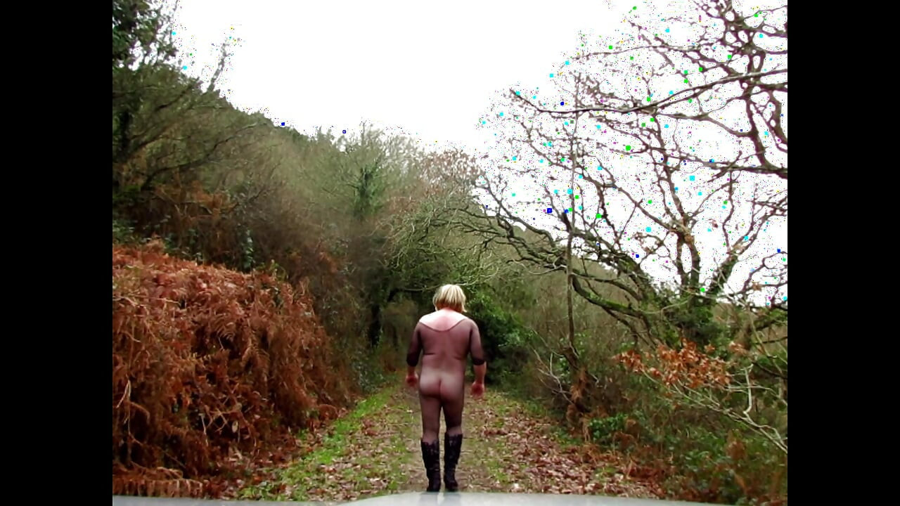 大自然中的展览