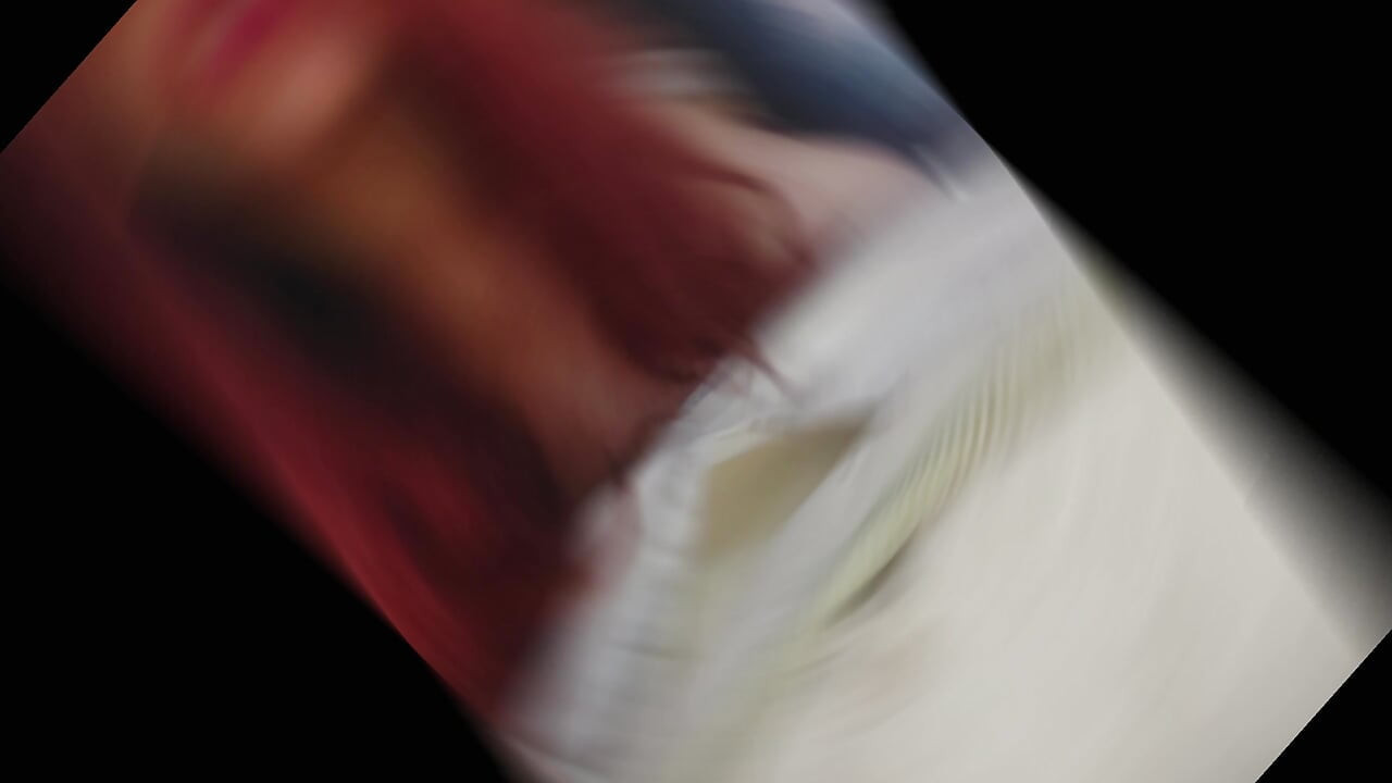 Papi, insemíname, órdenme y fóllame