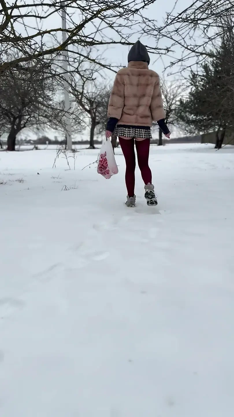 Pussy on the snow