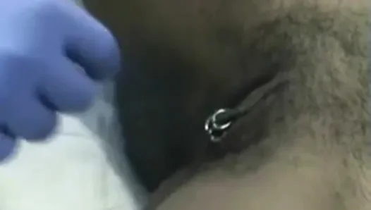 Body piercing collection of pierced pussies and nipples 1