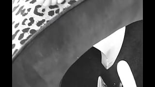 Lexinghton - Full HD