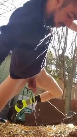 Pee like a little dog