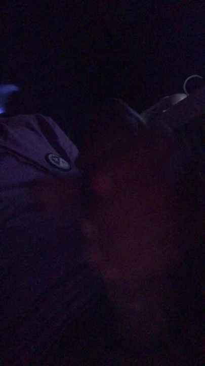 Big juicy cock getting stroked until I cum.