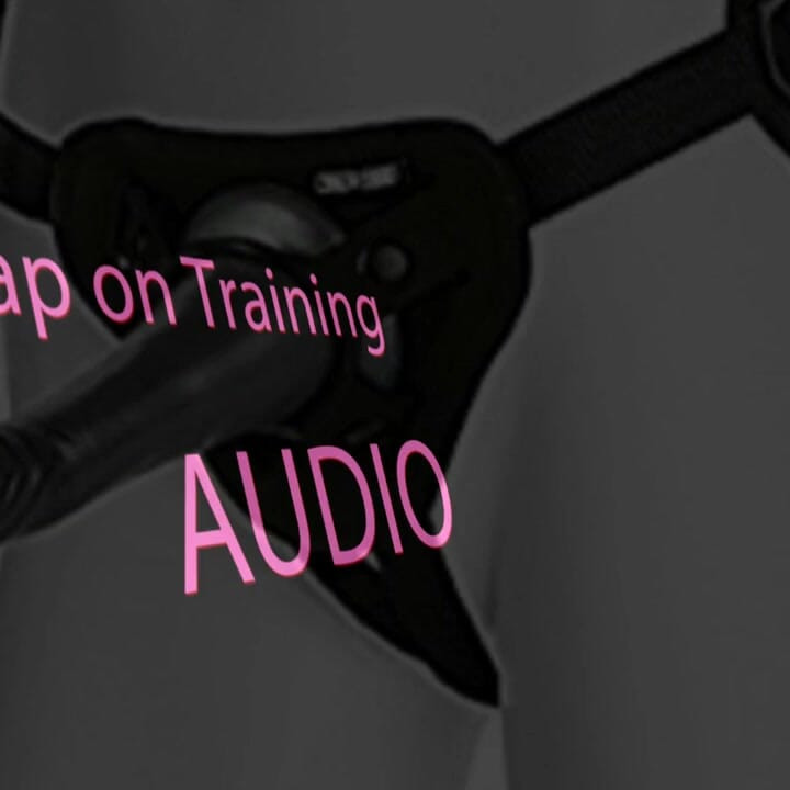 AUDIO ONLY - Strap on training audio