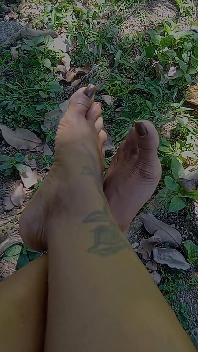 Come Say Good Morning to My Tropical Soles