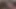 Privateblack - yaramaz noemilk ırklararası vurma alır!