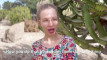 Pratinjau video