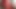 thats in the red dress