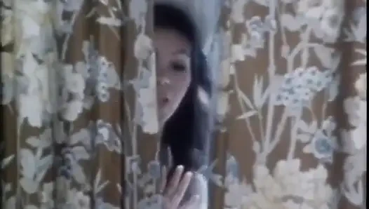 Classic Porn Dvds: Weekend Cowgirl Part 4