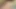 SISSY WANKING HIS HARD COCK IN THE BEDROOM - UEKHUI