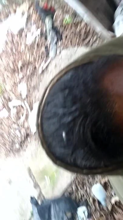 Ebony ssbbw facial