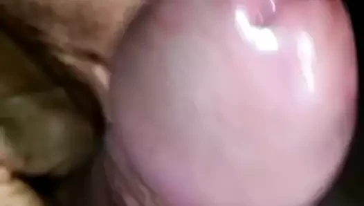 Verga caliente muy dura para dartela toda