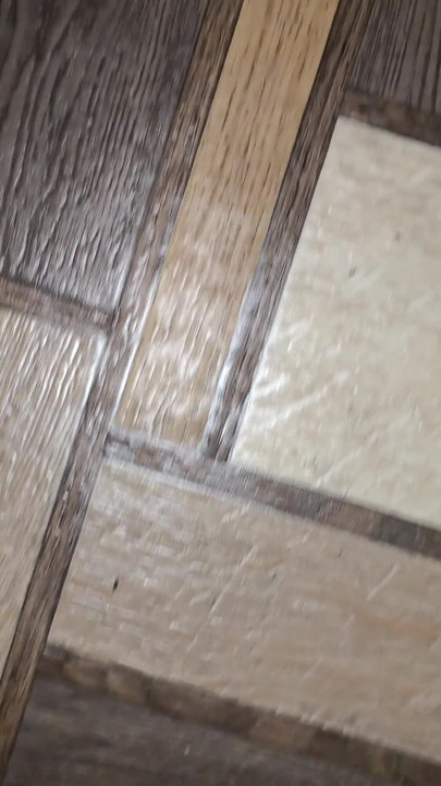 Came in an Abandoned House While No One Was Watching