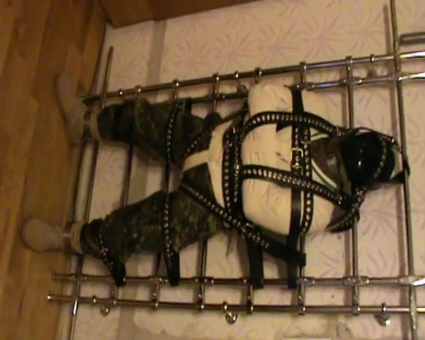 Straitjacketed slave is restrained to the grid