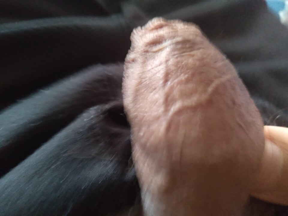 صبي لاتيني وضع المتشددين مع قضيبه الضخم