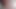 alexaalparroへの動画投稿