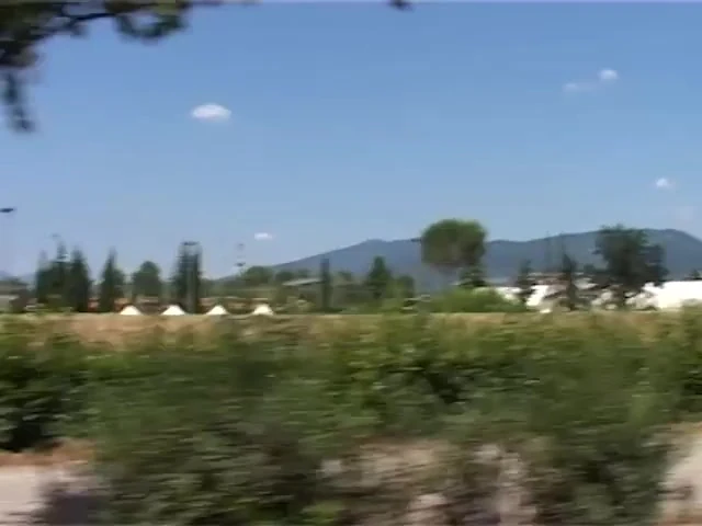 Take This Dick and Run