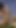 Latina trans lovers trade big dick horny anal