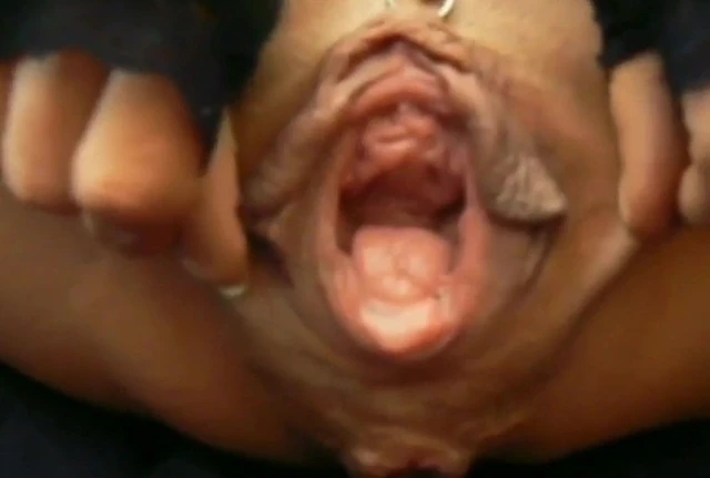My favorite spread of a crawling pussy326