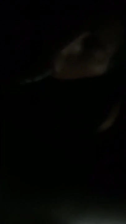 Amazing bbc sloppy part 2