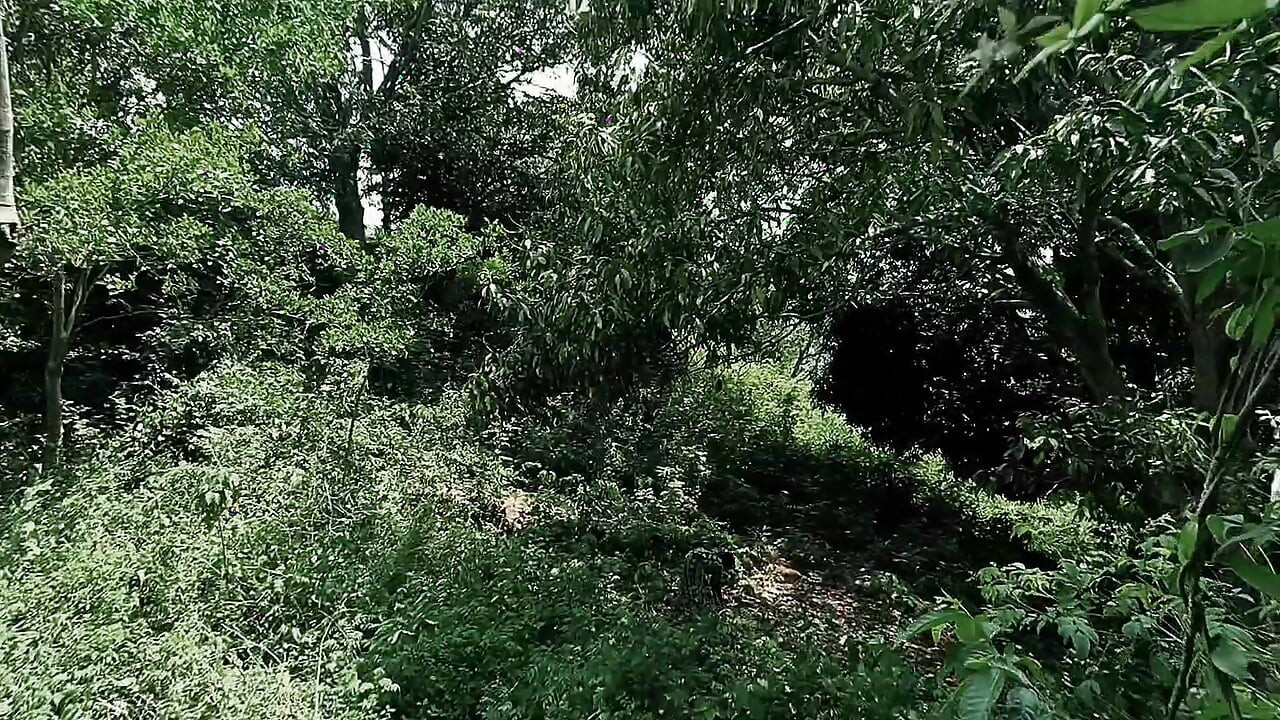 Indian Desi Village outdoor hard sex with couple.