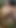 Havluya ihtiyacın var mı?
