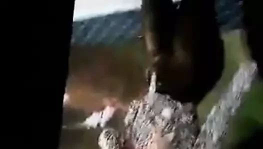 Döl haraç tania culote rico 3