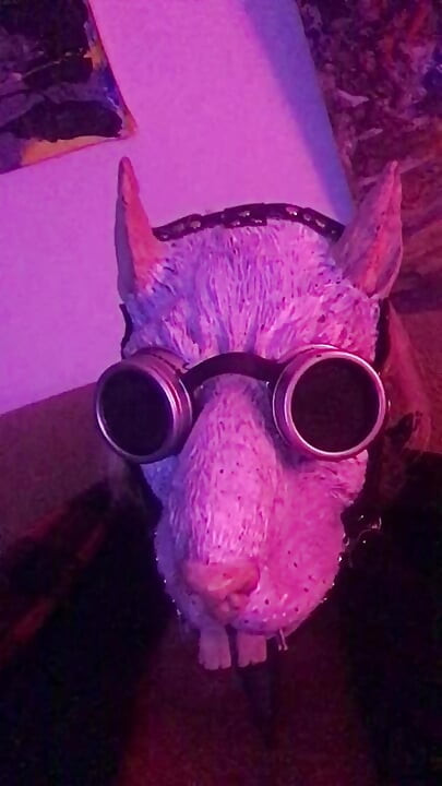 Please suck in my butt hole sir