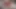 Bakalım bu tatlı kızın anal gücü nelere sahip