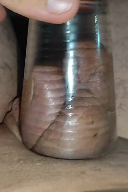 Тато досягає надзвичайного тиску на загрожений член